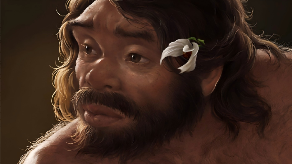 百萬(wàn)年前頭骨化石改寫(xiě)人類(lèi)家譜 ?中國(guó)新研究刷新人類(lèi)演化時(shí)間線(xiàn),證實(shí)丹尼索瓦人屬于龍人支系