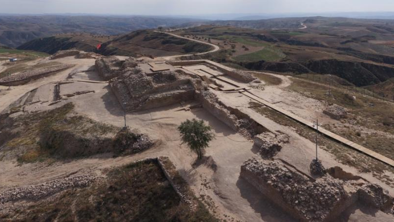 走進(jìn)石峁:古DNA揭示石峁古城人群的遺傳來(lái)源與社會(huì)結(jié)構(gòu)